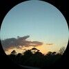 andray_b